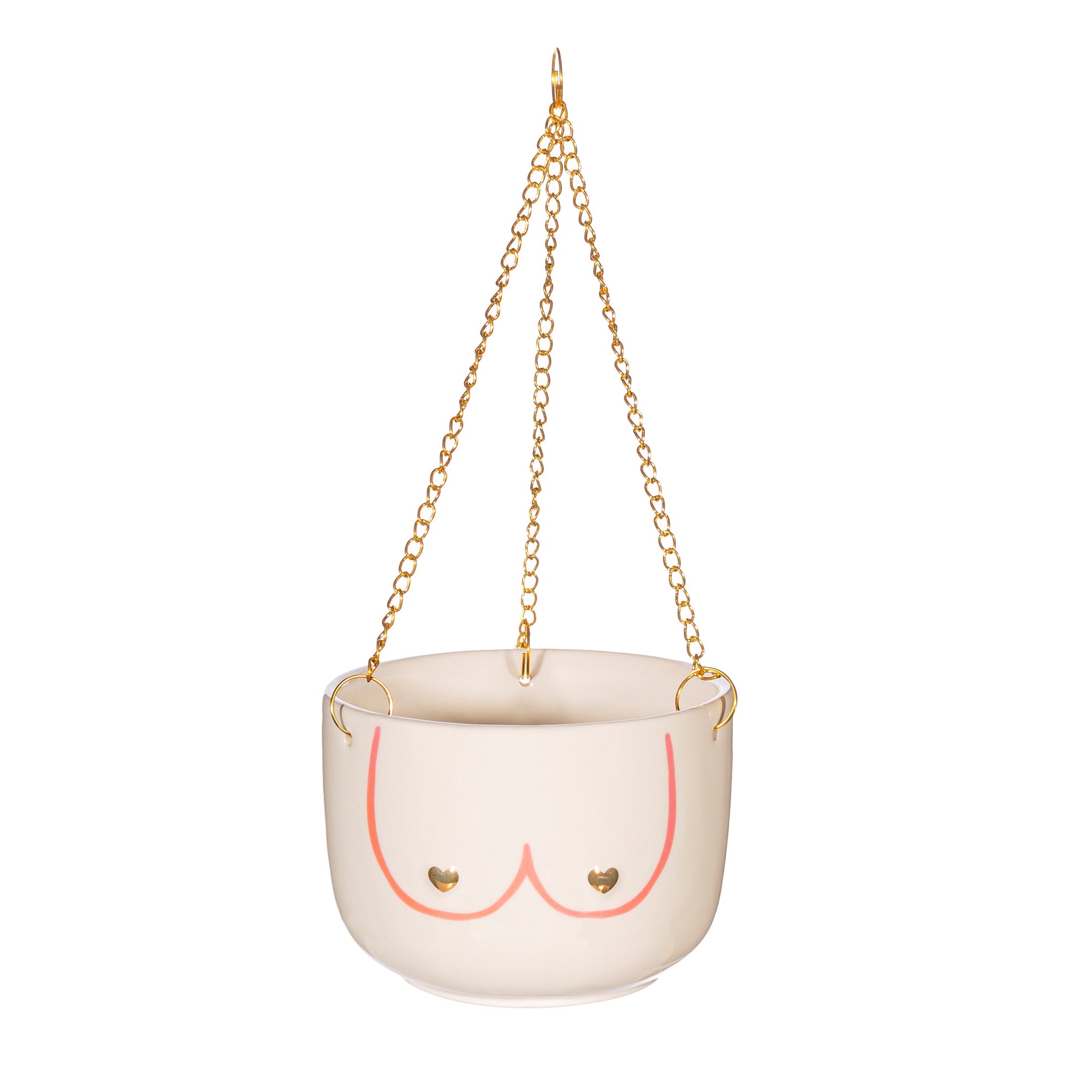 Pink popular nd gold hangable planter