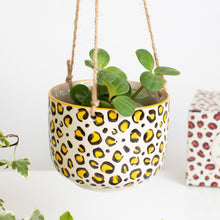 Load image into Gallery viewer, Sass and Belle Leopard Planter
